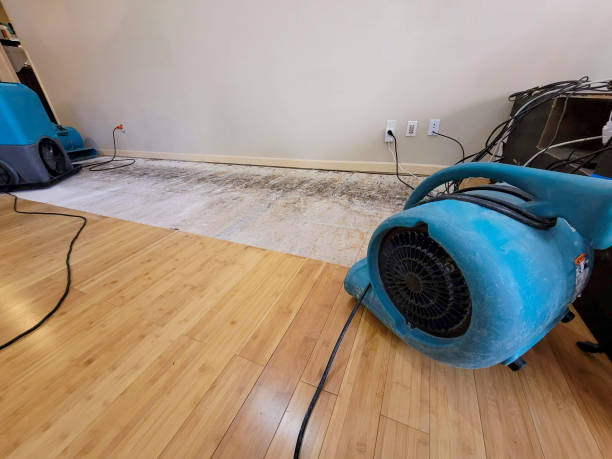 Professional Structural Drying technician working in Brandon, TX